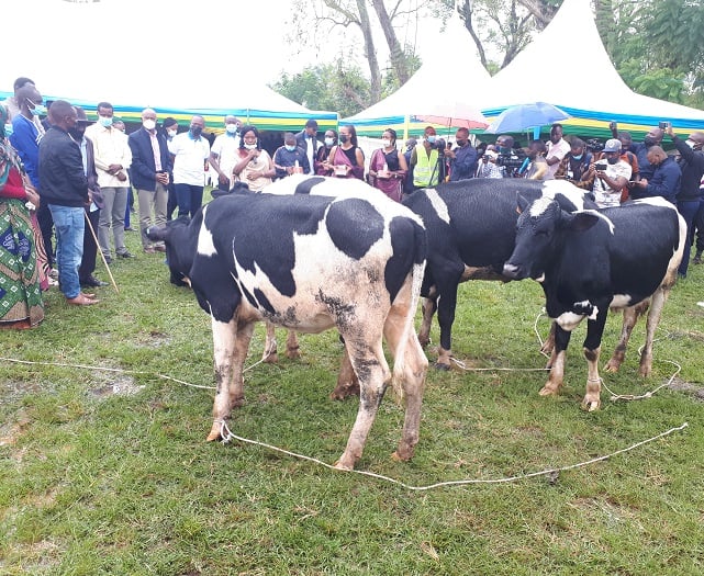 Abarokotse Jenoside bane borojwe inka kugira ngo nabo bagire imibereho myiza