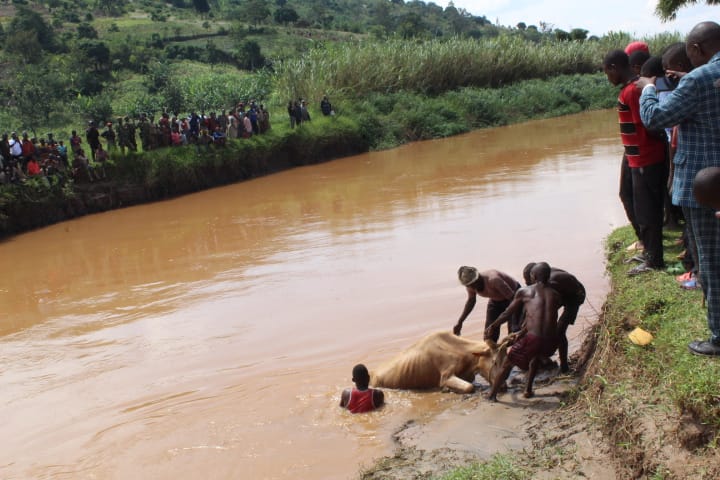 Aha yari igeze ku butaka bw'u Rwanda