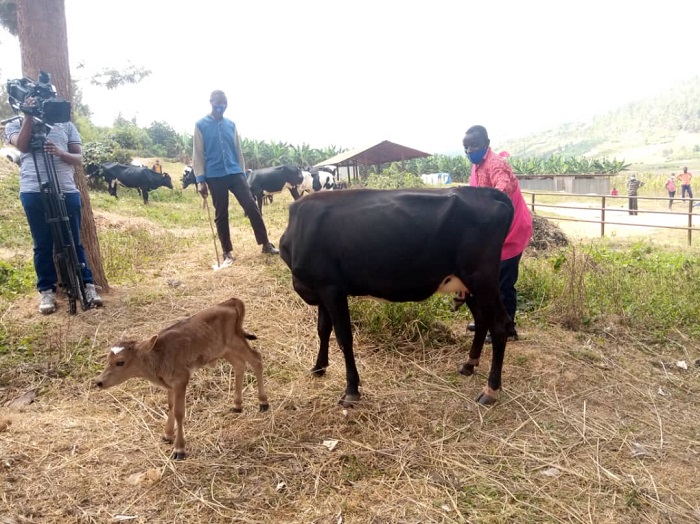 Imwe yahise ibyara itomborwa n'umubyeyi ufite uruhinja