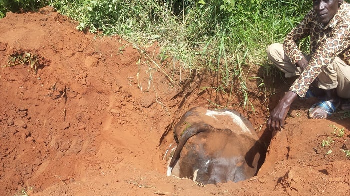 Umwobo yaguyemo ibanje amazuru igakuba ijosi wagenewe gushyirwamo amapoto ageza umuriro w