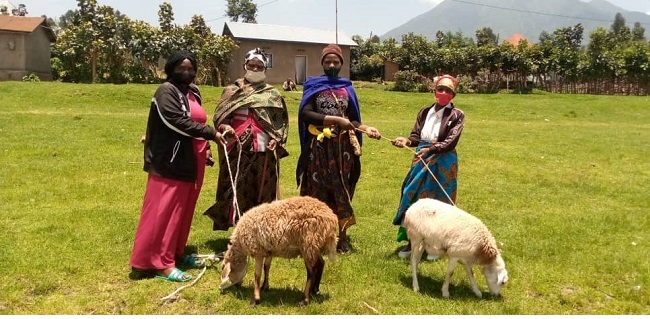 Borozanya n'amatungo magufi