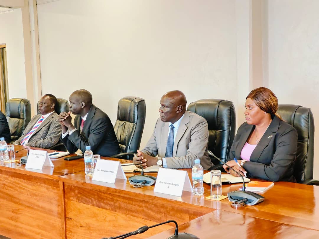 Abadepite bo muri Sudani y'Epfo mu biganiro