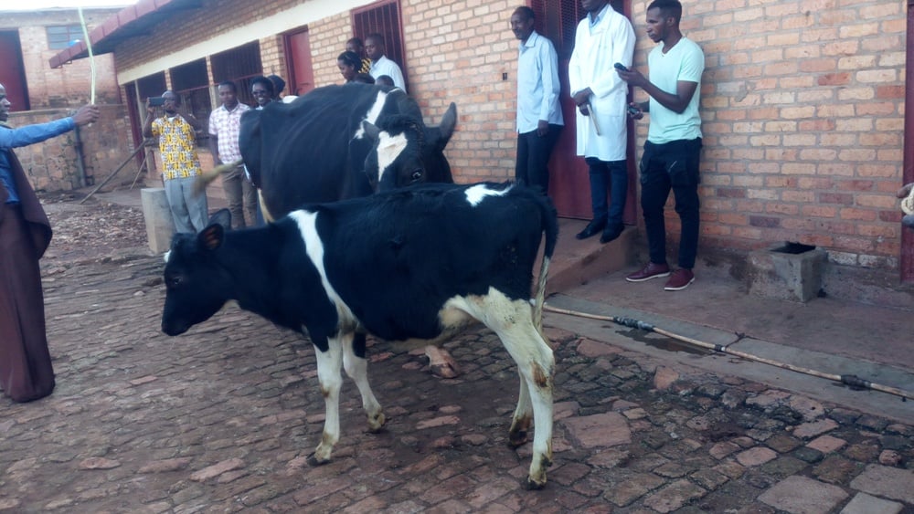 Inyana NDPK yahaye Butare Catholique iri kumwe na nyina Rwego, imwe muri eshanu NDPK yahawe na Perezida wa Repubulika