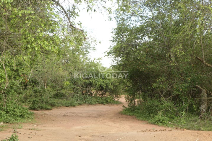 Inzira ijya kuri urwo rwobo rwiswe Urwabayanga.