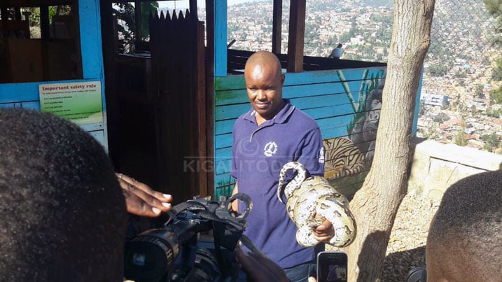 Igiraneza ahamya ko gufata inzoka mu ntoki yabyigiye 