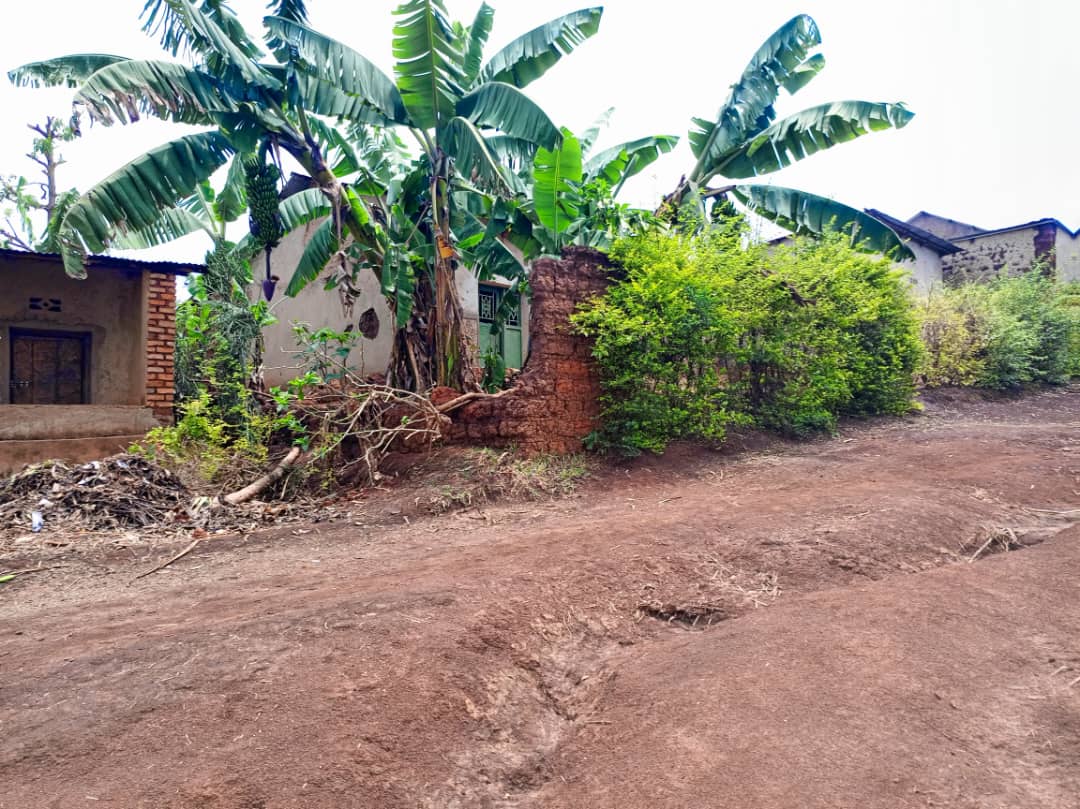 Inzoka bivugwa ko yatumye Yankurije yitaba Imana yari muri turiya duti tw'umurimbo dukoze urugo kwa Alphonse