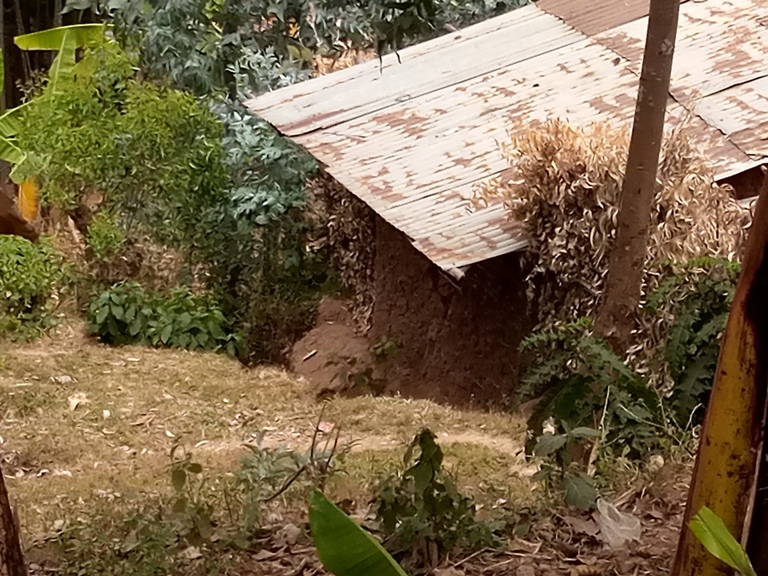 Iyi nzu ngo ni indi nshyashya Appolinaire Bajyanama yubatse nyuma y'uko amazi y'imvura yamusenyeye