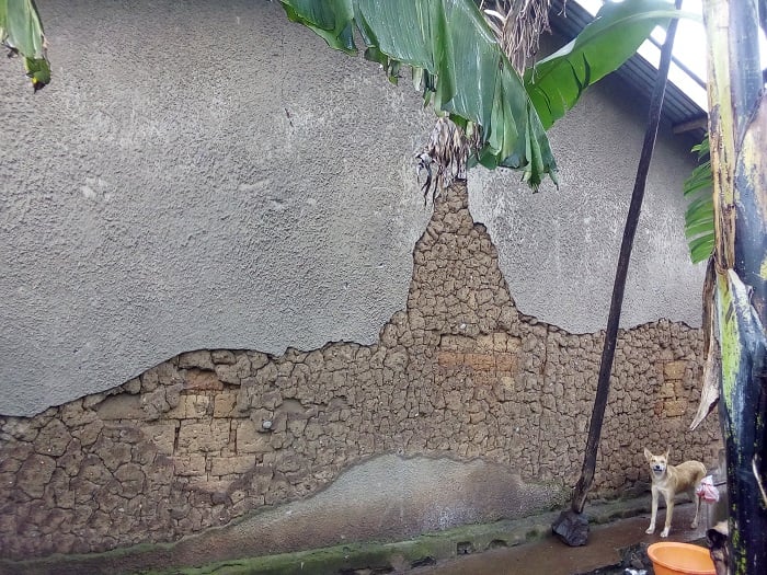 Basaba ubuyobozi kubafasha kuzisana mu maguru mashya zitarahirima