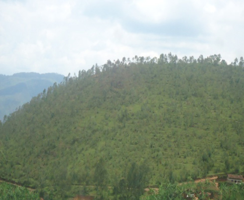 Umusozi wa Gatonzi ni agasozi kabereye ijisho.