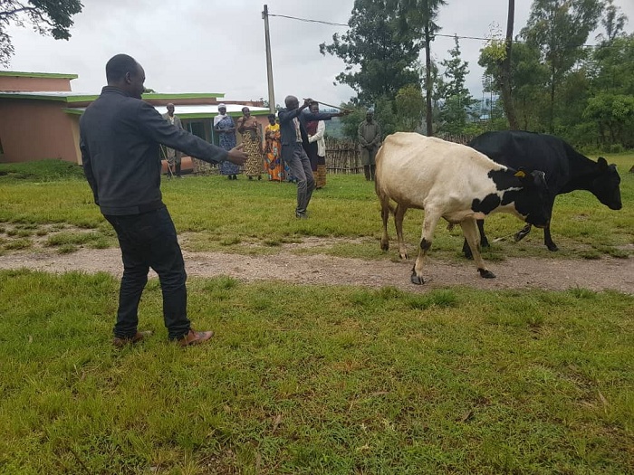 Bakora n'imishinga yo korora bakajya baziturirana