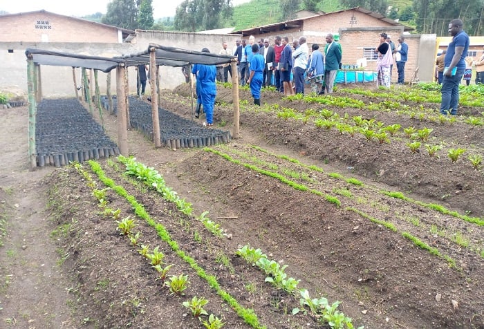 Harimo n'abaiga ubuhinzi