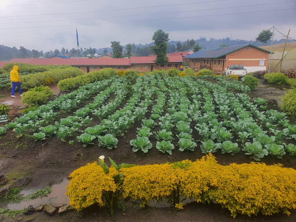 Ubusitani bw'ishuri babubyaza umusaruro