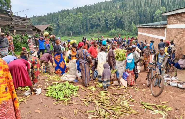 Mu isoko rya Sovu, hari abanyuzamo bakahazana ibigori bibisi n'ubwo babibuzwa