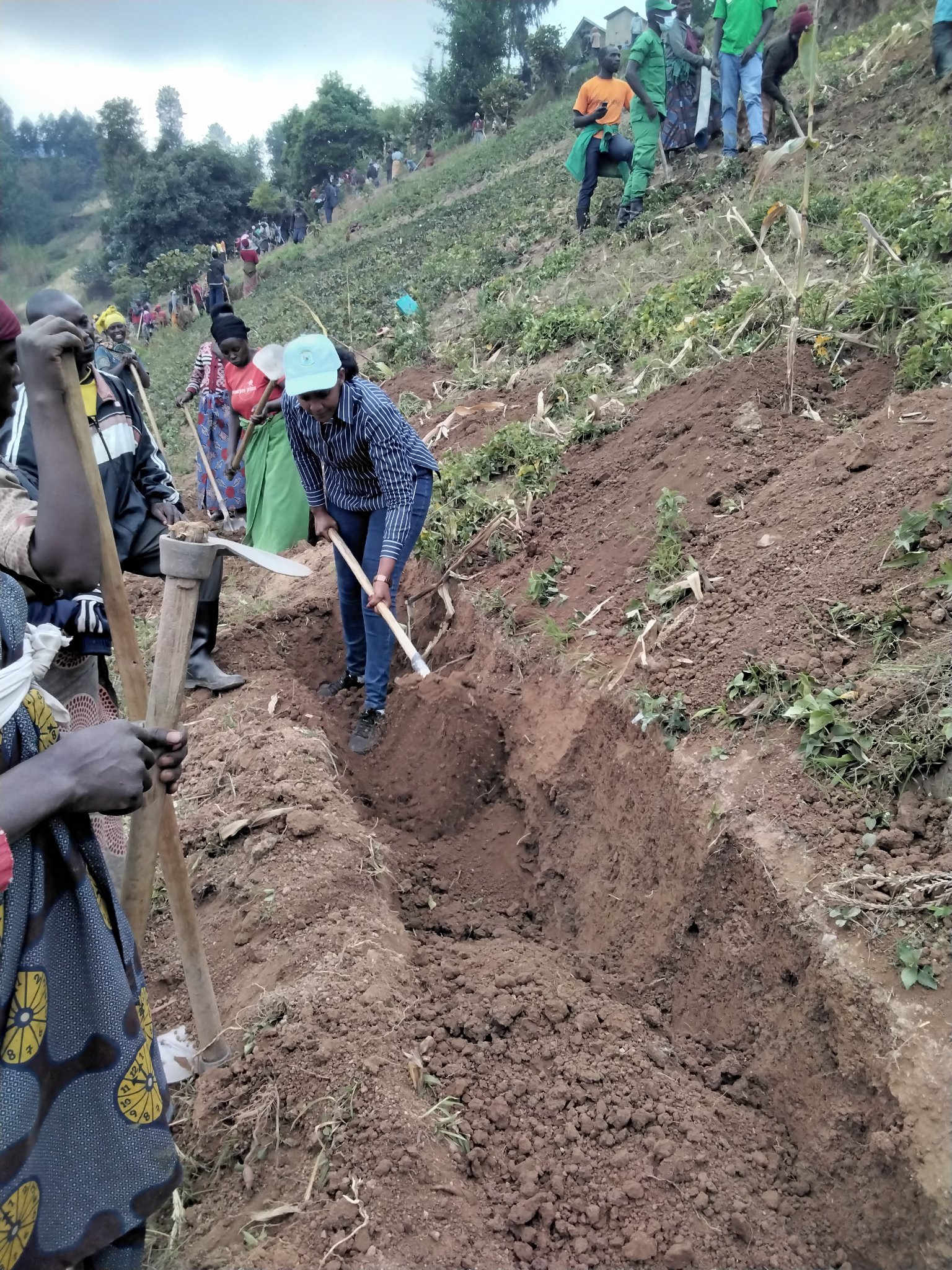 Bakoze umuganda mu rwego rwo kurwanya isuri itwara ubutaka