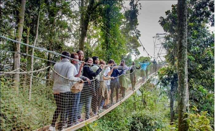 Ikiraro cyo mu kirere gikurura benshi mu basura Pariki y'Igihugu ya Nyungwe (Ifoto internet)