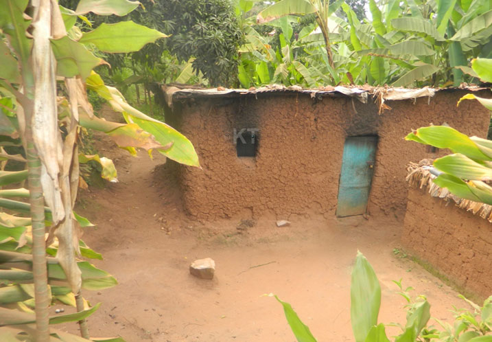 Iyi na yo ntaho itaniye na nyakatsi.