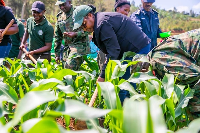 Minisitiri Mukeshimana mu muganda n'abahinzi ba COAMALEKA muri Kamonyi