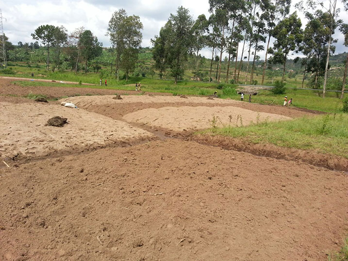 Abahinga muri iki gishanga bavuga ko Koperative ibakata umusaruro wabo bagasigarana ubusa.
