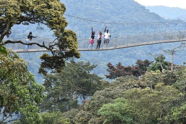 Ikiraro cyo mu kirere muri Pariki ya Nyungwe