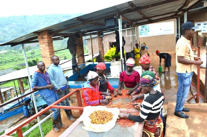 Uruganda rwa kawa NOVA COFFEE rutunze benshi