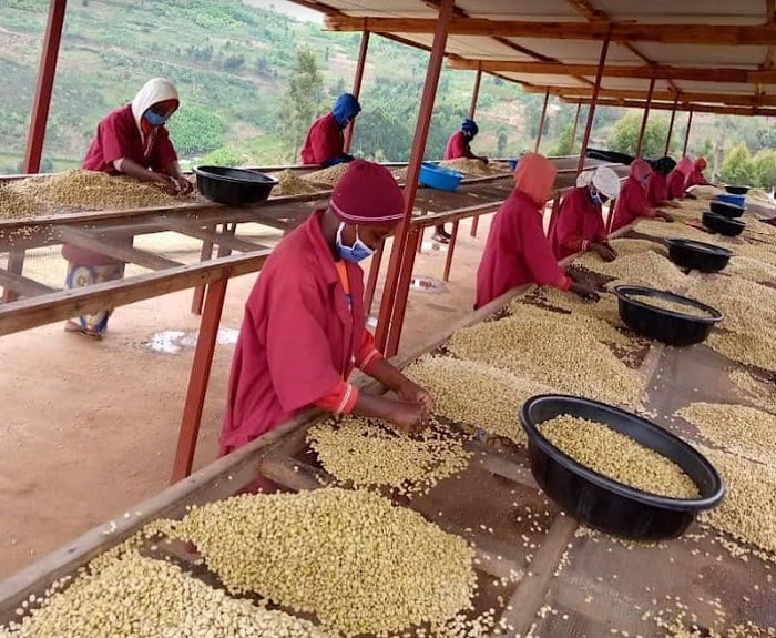 Uburyohe bwa kawa yo muri Coko butuma ikomeza guca agahigo mu ruhando mpuzamahanga