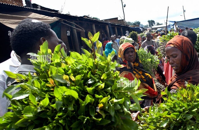 Khat yinjiriza amafaranga menshi Abanya-Kenya