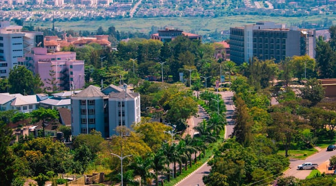 Abantu baributswa ko gutema igiti bagomba kubisabira uruhushya