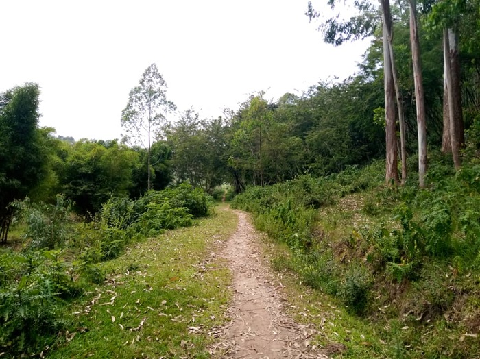 Abahinga munsi y'ishyamba rya Arboretum ntibakweza batarinze imyaka yabo