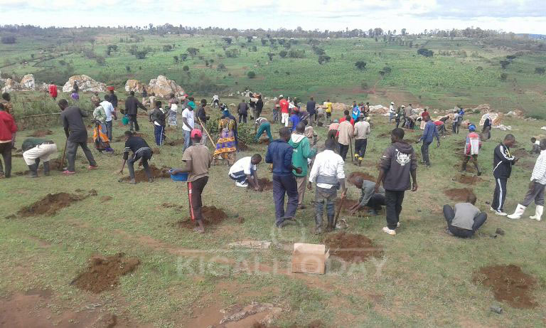 Abaturage bafatanyije n'abayobozi batandukanye mu gikorwa cy'umuganda wo gutera ibiti mu Karere ka Kirehe 