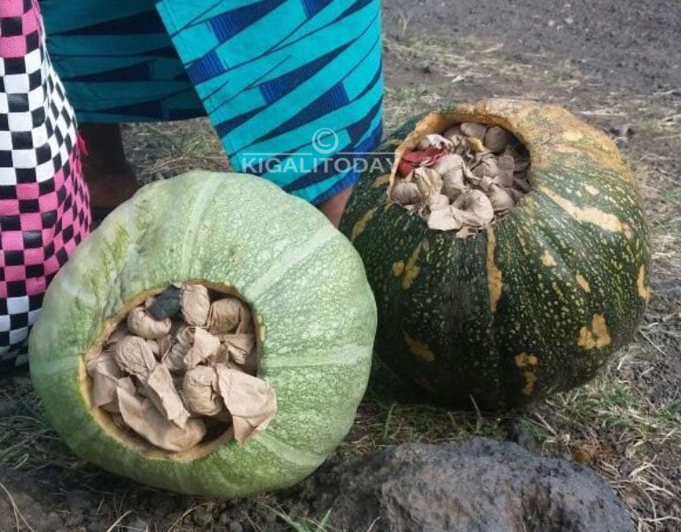 Uyu mugore we bamufashe atwaye urumogi mu bihaza 