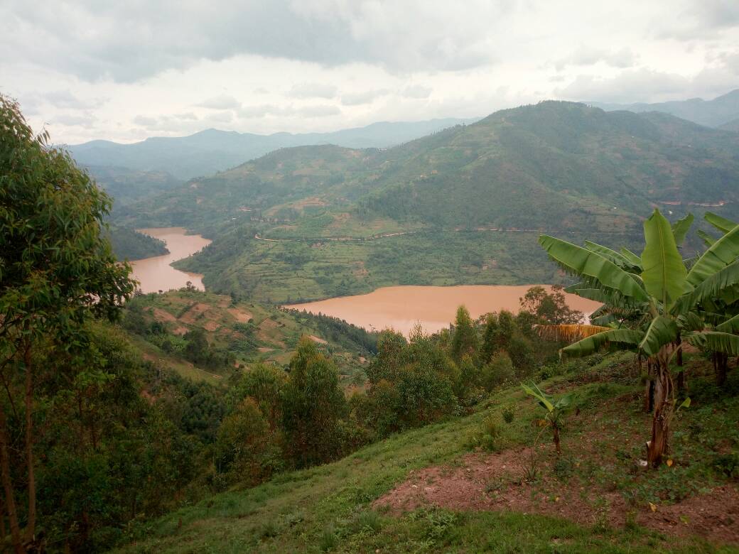 Kubera isuri Nyabarongo bayigereranya n