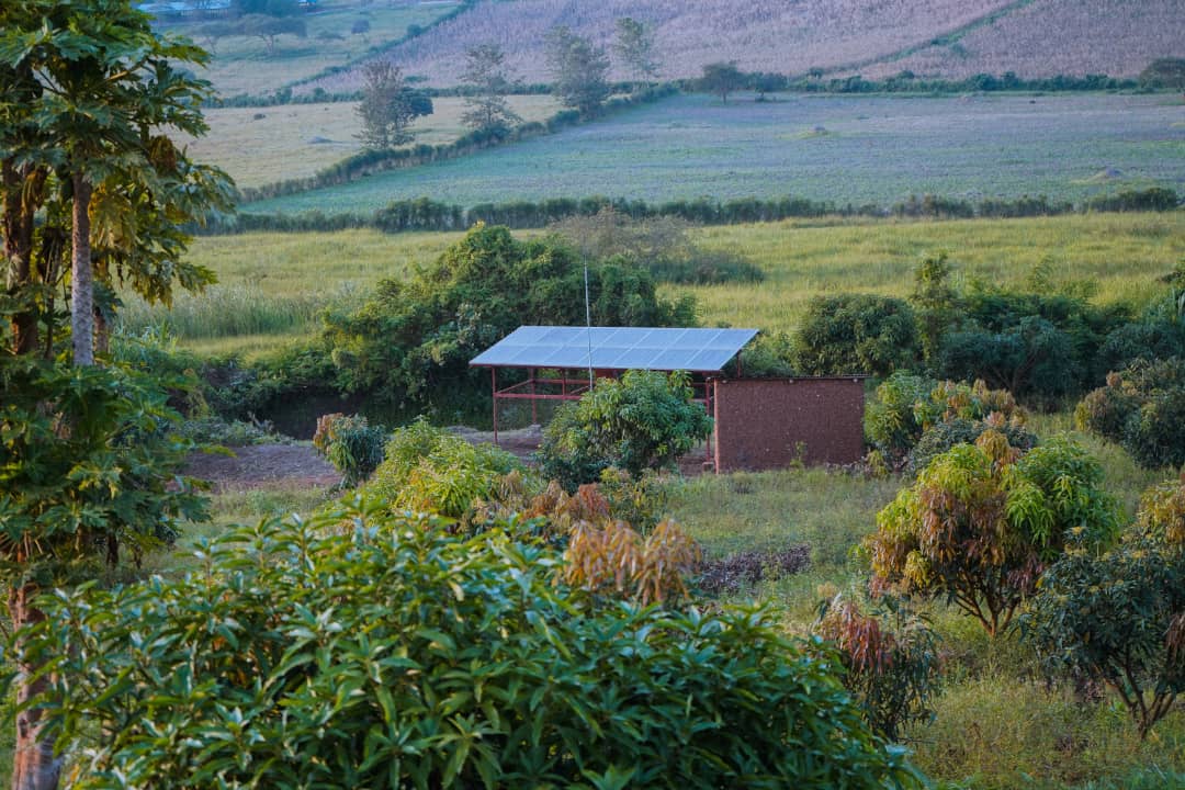 Izuba Iburasirazuba ryabaye igisubizo cyo kurwanya amapfa 