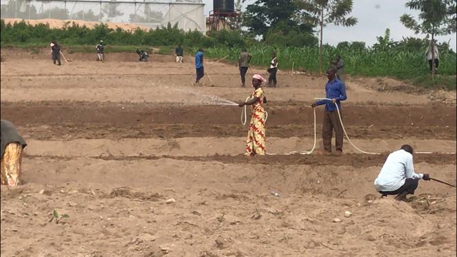 Ingufu z'imirasire y'izuba zifasha abahinzi kuhira bitangije ikirere