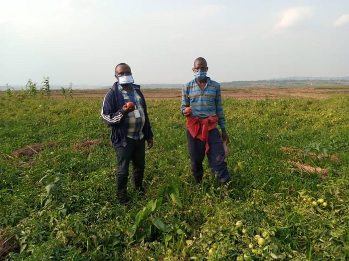 Abahinzi biteguye gutangira iginga, banirinda coronavirus