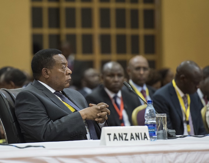 Minisitiri w'Ububanyi n'Amahanga wa Tanzania, Augustine Mahiga yari muri iyi nama.