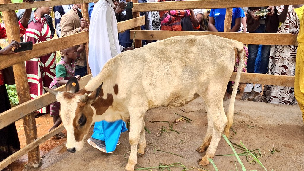 Inka yahawe Mukancogoza