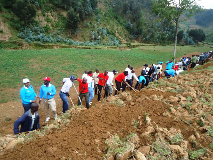 Mbere yo gutanga inka abanyamuryango ba FPR bifatanyije n'abaturage mu muganda rusange basibura imirwanyasuri.