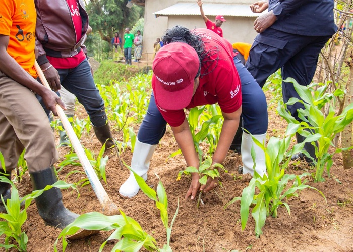 Mu mwaka ushize, ubwo u Rwanda rwizihizaga umunsi mpuzamahanga wahariwe ibiribwa ku isi, Minisitiri w'Ubuhinzi n'Ubworozi Dr. Geraldine Mukeshimana yatangije gahunda yo gutera ibiti bitatu by'imbuto kuri buri rugo