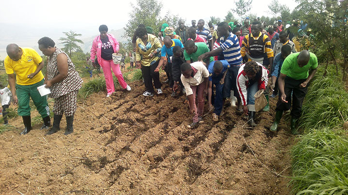 Minisitiri w'Ubuzima, Dr Agnes BInagwaho atangiza igihembwe cy'ihinga 2015B haterwa ingano kuri hegitari 44.