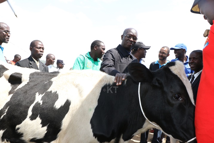 Minisitiri w'Intebe Murekezi yashyikirije inka 50 abimuwe mu birwa bya Ruhondo.