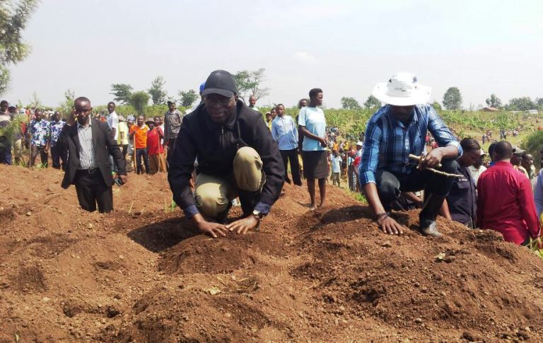 Minisitiri w'intebe Anastase Murekezi yifatanyije n'abatuye umurenge wa Mamba mu karere ka Gisagara gukora umuganda