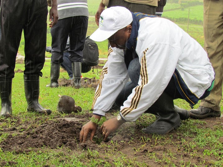 Minisitiri w'intebe Ngirente Eduard imvura ntiyamubujije gukora umuganda