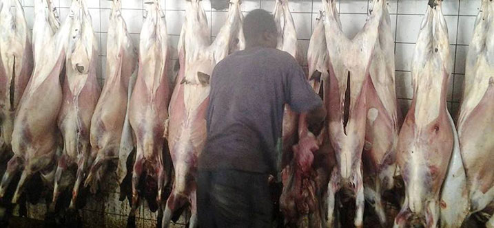 Habazwe amatungo menshi muri iyi minsi mikuru.