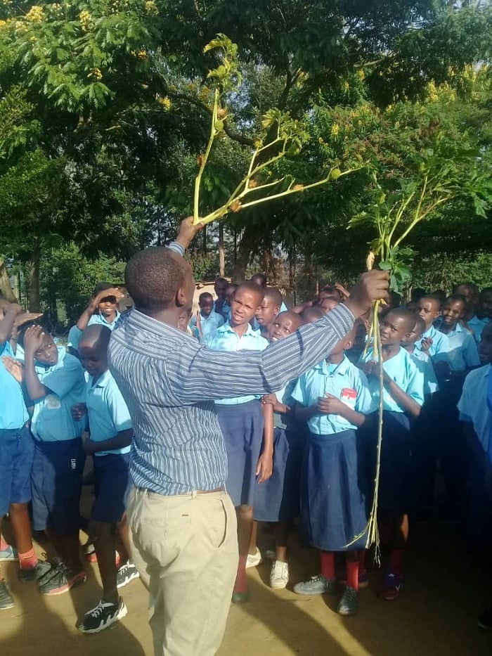 Mu bibasirwa n'ikiyobyabwenge cya Rwiziringa harimo abana b'abanyeshuri