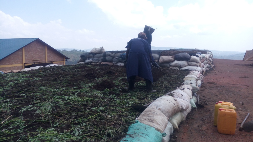 Mu gukora ifumbire mvaruganda ikungahaye ku ntungagihingwa, bavangavanga amafumbire n'ibyatsi n'inkari n'amaganga