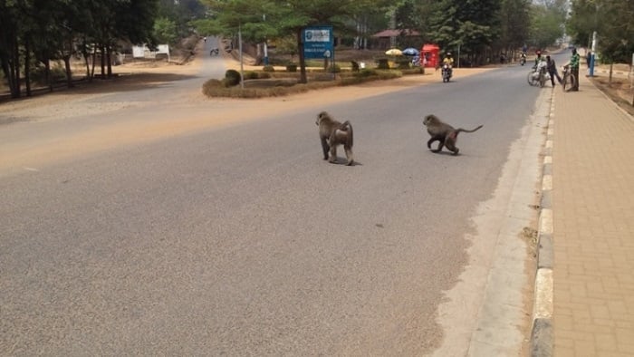 Mu mujyi wa Nyagatare wabisangaga mu mihanda n