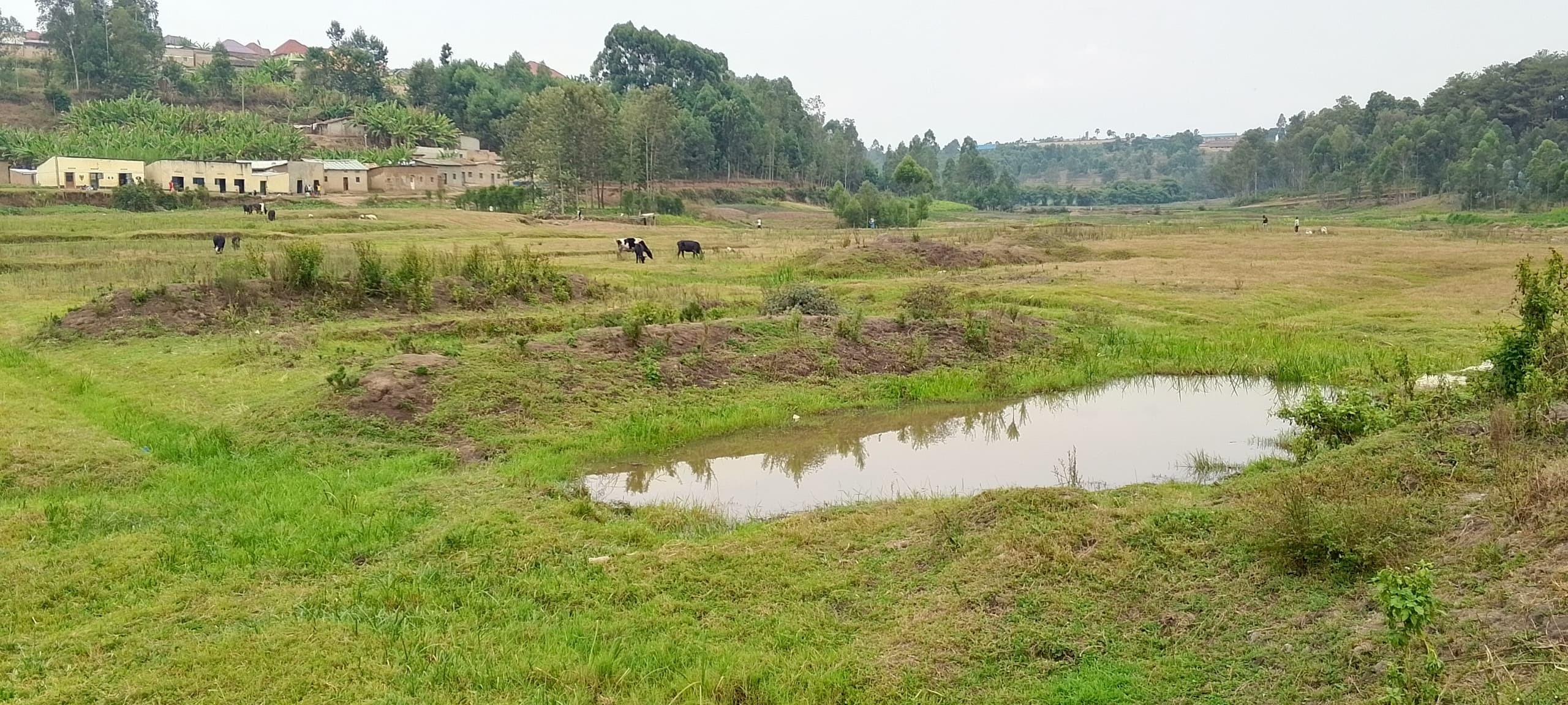 Iki gishanga cyahawe uruganda rukora amakaro mu Karere ka Muhanga