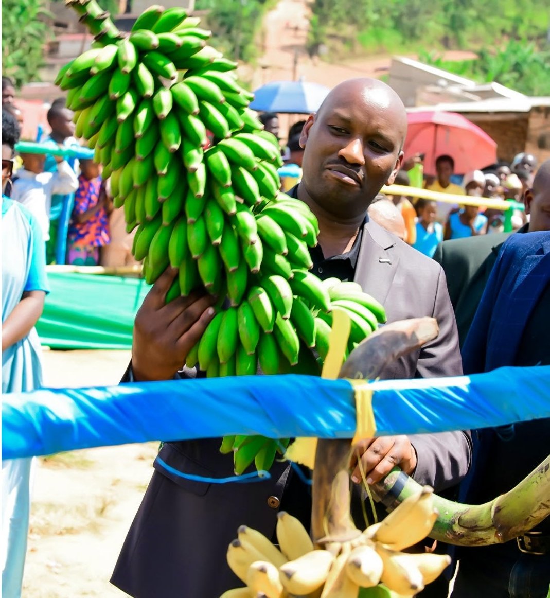 Ibitoki by'imineke ni bumwe mu buryo bahisemo bwo kuvugurura ururoki ngo bagere ku mafaranga