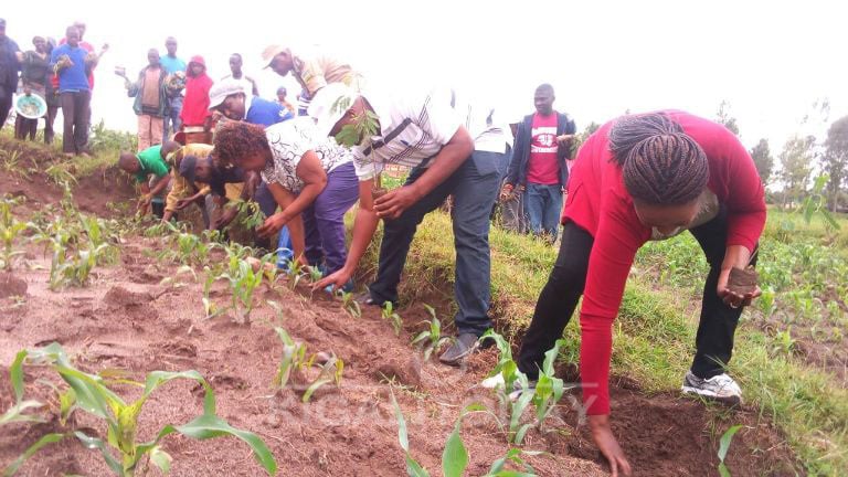 Abayobozi batandukanye mu gikorwa cy'umuganda wo gutera ibiti bivangwa n'imyaka mu Karere ka Muhanga 