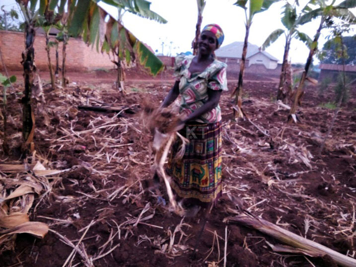 Mukangira avuga ko ategere imvura agatera (Photo M. Solange Mukashyaka.)